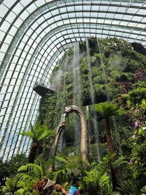 Cloud Forest, el biodomo maravilloso - ABC Revista - ABC Color