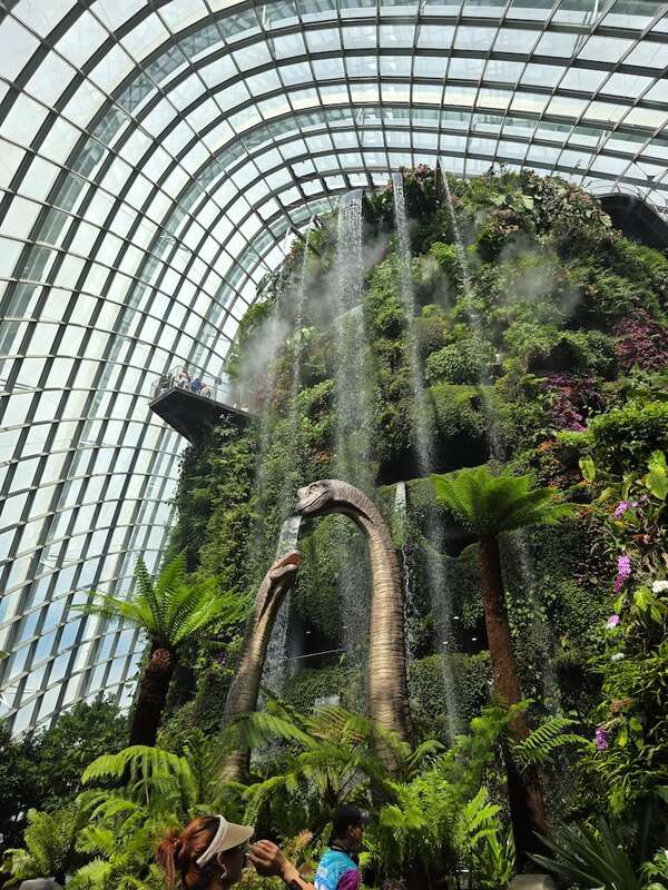 Cloud Forest, el biodomo maravilloso - ABC Revista - ABC Color