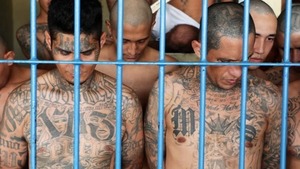 Bukele: «El Salvador posee el mejor sistema de cárceles en el mundo