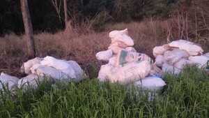 Tras presunto robo, recuperan más de 70 bolsas de maíz en Misiones