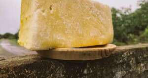 Diario HOY | Desde el Chaco con sabor y alma, rescatan el auténtico queso Paraguay artesanal