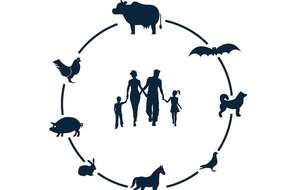 Día mundial de la Zoonosis: prevención, vigilancia y control de enfermedades - Nacionales - ABC Color
