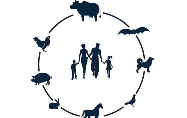 Día mundial de la Zoonosis: prevención, vigilancia y control de enfermedades - Nacionales - ABC Color