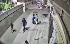¡De terror! Un león se escapa y ataca a tres personas en Pakistán