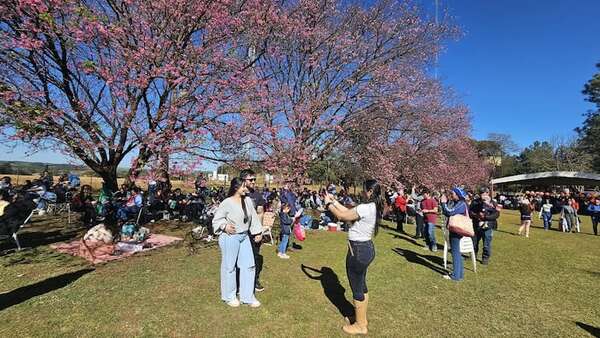 Con festival artístico y gastronómico, reciben la temporada del Cerezo en Flor en La Paz - Nacionales - ABC Color