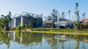 Producción consciente: el modelo que redefine el cultivo de arroz