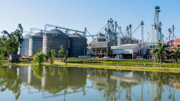 Producción consciente: el modelo que redefine el cultivo de arroz