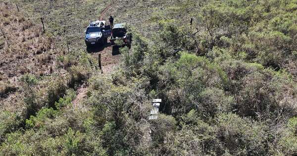 Diario HOY | Eliminan más de 648 toneladas de marihuana en Amambay