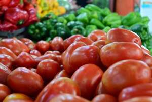 Coimas en Senave: Capasu dice que corrupción resulta en precios más altos en productos frutihortícolas - Economía - ABC Color