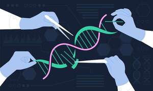 CRISPR y edición genética humana: qué avances hay y por qué genera debate ético - Ciencia - ABC Color