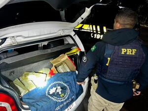 Marihuana domina incautaciones en Paraná: van 168 toneladas en 2025 - La Clave