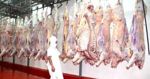 La Nación / Último semestre del 2025 mostró mejoría en los precios pagados al productor