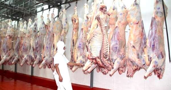 La Nación / Último semestre del 2025 mostró mejoría en los precios pagados al productor