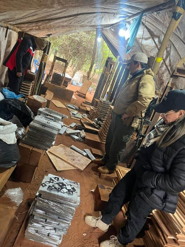 Operación Nueva Alianza 51 destruyó 208 hectáreas de marihuana