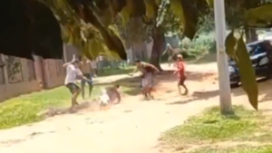 Pitbull confronta a adictos con cuchillos en Capiatá