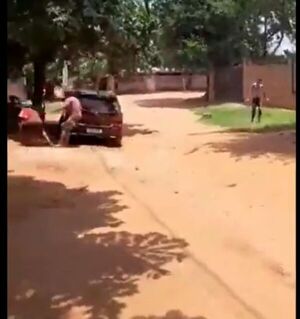 (VIDEO)Chespis se enfrentaron a pitbulls en Capiatá