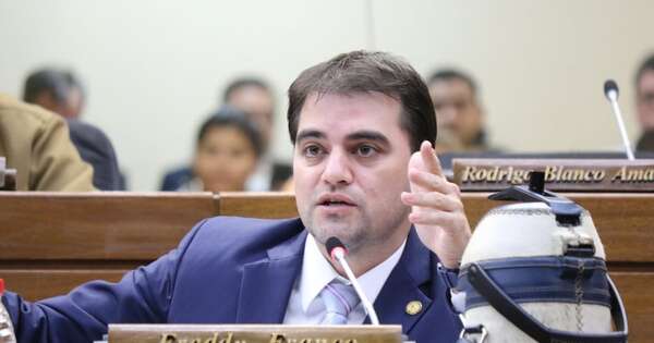 La Nación / Plantean cárcel o multa para mitigar los perfiles falsos y la estafa digital