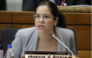 Diputada cuestiona dilación para analizar proyecto de ley de reforma del transporte público