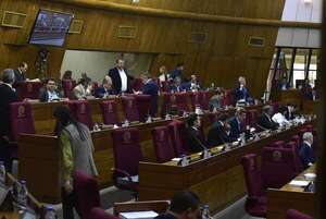 AUDIO: Diputados aplazan por 30 días el tratamiento del proyecto de Ley de reforma integral del transporte público - Periodísticamente - ABC Color
