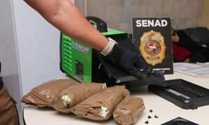 Pillan droga camuflada que venía desde Estados Unidos y tenía como destino Ciudad del Este