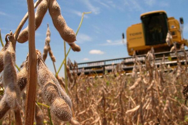 El Chaco está cerrando una zafra “buena”, mejor que la anterior, aunque marcada por excesos hídricos