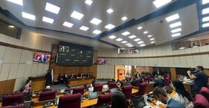 MOPC defiende en Senado el presupuesto de USD 135 millones de CAF para invertir en el Norte