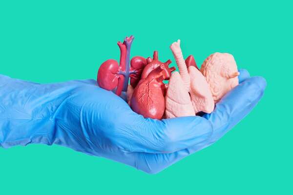 Día Nacional del Trasplante: qué pasa en el cuerpo al recibir un nuevo órgano - Ciencia - ABC Color