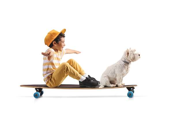 Niños y mascotas: cómo fomentar una relación sana a través del juego - Mascotas - ABC Color