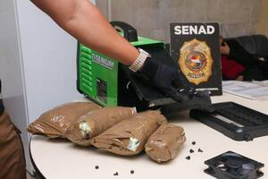 Incautan en Asunción marihuana premium enviada desde Miami a CDE - La Clave