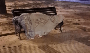 Hallan el cadáver de un hombre en una plaza de Coronel Oviedo - Noticiero Paraguay