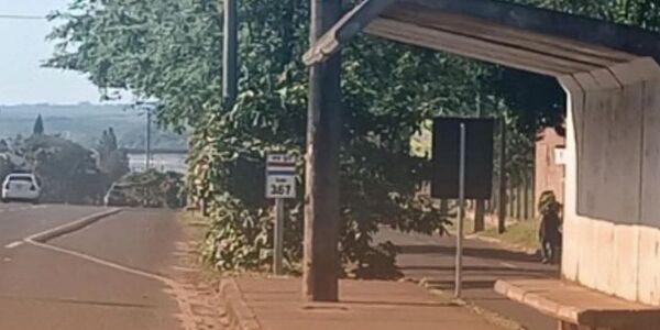 ADOLESCENTE FUE VÍCTIMA DE UN ASALTO EN ENCARNACIÓN