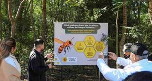 Inauguran nuevo atractivo para conservación de abejas nativas en el Refugio Biológico de Mbaracayú