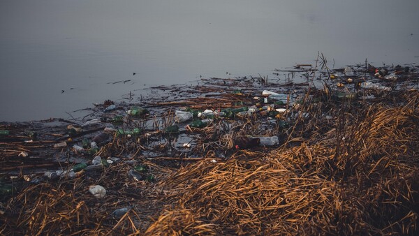 Estudio de nanoplásticos del Atlántico revelan que contaminación es mucho mayor de lo estimado