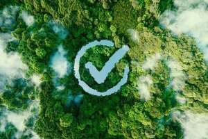 Árboles modificados para absorber más CO₂: la nueva frontera verde - Ciencia - ABC Color