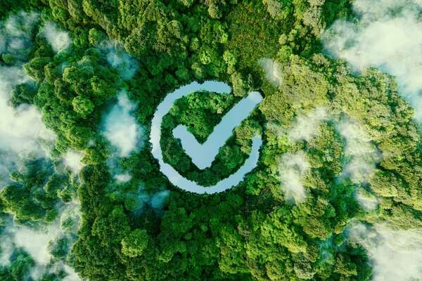 Árboles modificados para absorber más CO₂: la nueva frontera verde - Ciencia - ABC Color