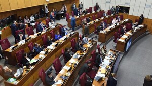 Senado acepta veto del Ejecutivo sobre Juzgados y Tribunales Especializados en violencia familiar