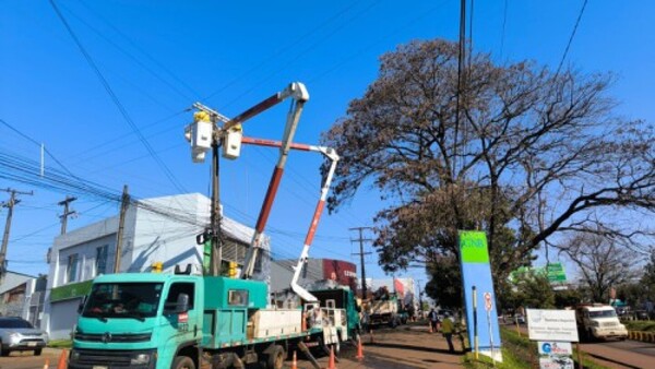 Alto Paraná: ANDE retiró 187 conexiones ilegales de su red