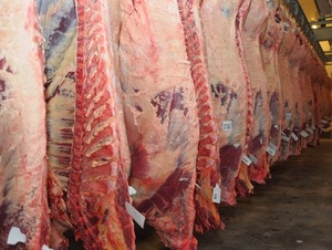 Brasil bate récord en exportaciones de carne vacuna en el primer semestre