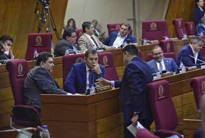 Incluyen prohibición de uso del padrón nacional en orden del día de Diputados - Política - ABC Color