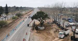 La Nación / Argentina: traslado de un árbol de casi 300 años genera conflicto