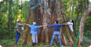 Colosos de la Tierra lanza su edición 2025 con nuevos desafíos y más inclusión comunitaria