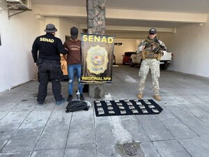SENAD frustra envío de marihuana en polvo de alta pureza en operativo en Pilar