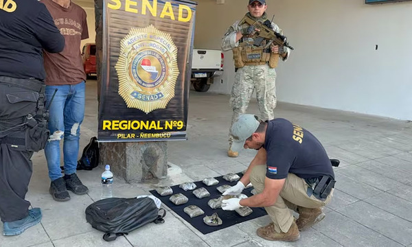 Incautan en Pilar más de 4 kilos de marihuana “kief”, droga de alta potencia - OviedoPress