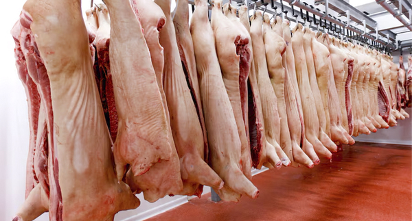 CARNE PORCINA LOCAL YA INGRESÓ A TAIWÁN CON EL ARANCEL CERO