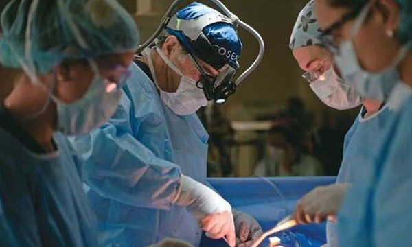 Donar es dar vida: 305 personas entre ellos 22 niños en la espera de un trasplante - OviedoPress