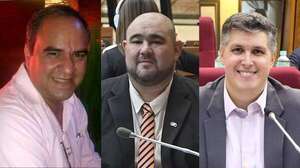 Conocé a los diputados más improductivos del último año legislativo - Política - ABC Color