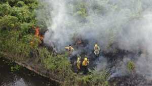 Infona lanza plataforma para anticiparse a incendios y monitorear quemas forestales