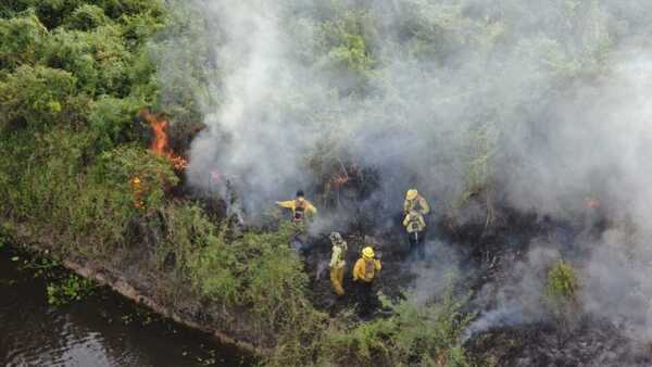 Infona lanza plataforma para anticiparse a incendios y monitorear quemas forestales