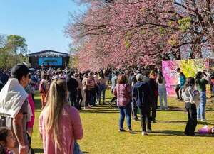 Segundo festival para celebrar permanencia del Cerezo en Flor en La Paz - Viajes - ABC Color