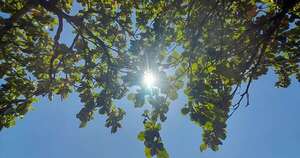 Diario HOY | Anuncian temperaturas de hasta 28ºC para el fin de semana